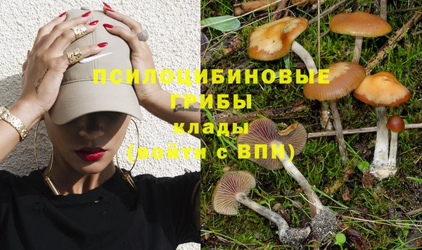 Альфа ПВП Коряжма