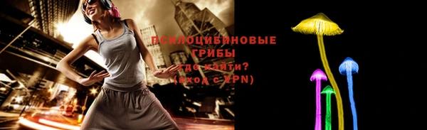 экстази Ветлуга