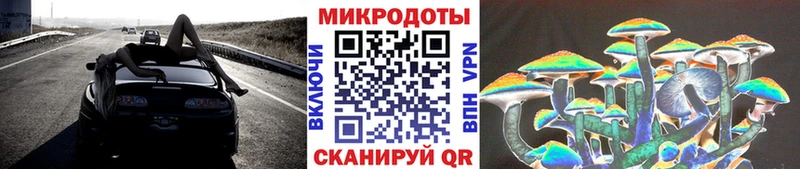 ссылка на мегу   Кинешма  Галлюциногенные грибы Psilocybine cubensis 