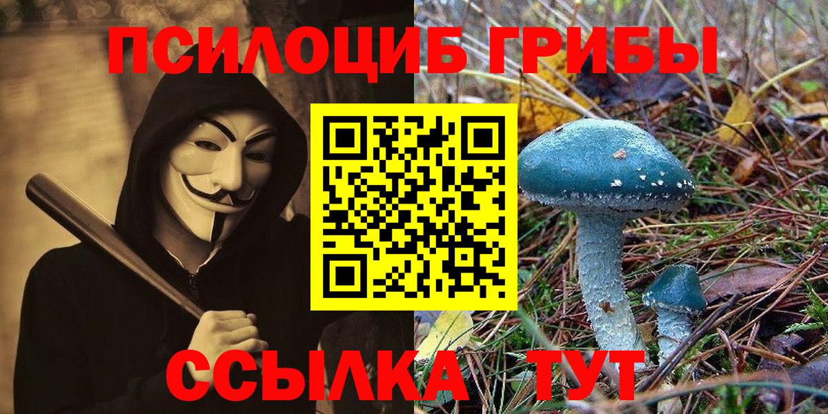 Галлюциногенные грибы мухоморы  хочу   Кинешма  Вход с VPN 